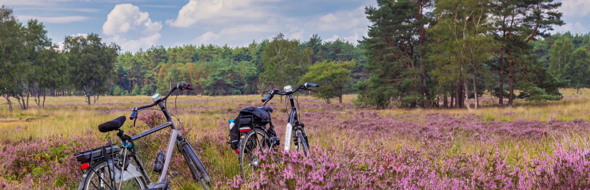 Fietsen Veluwe