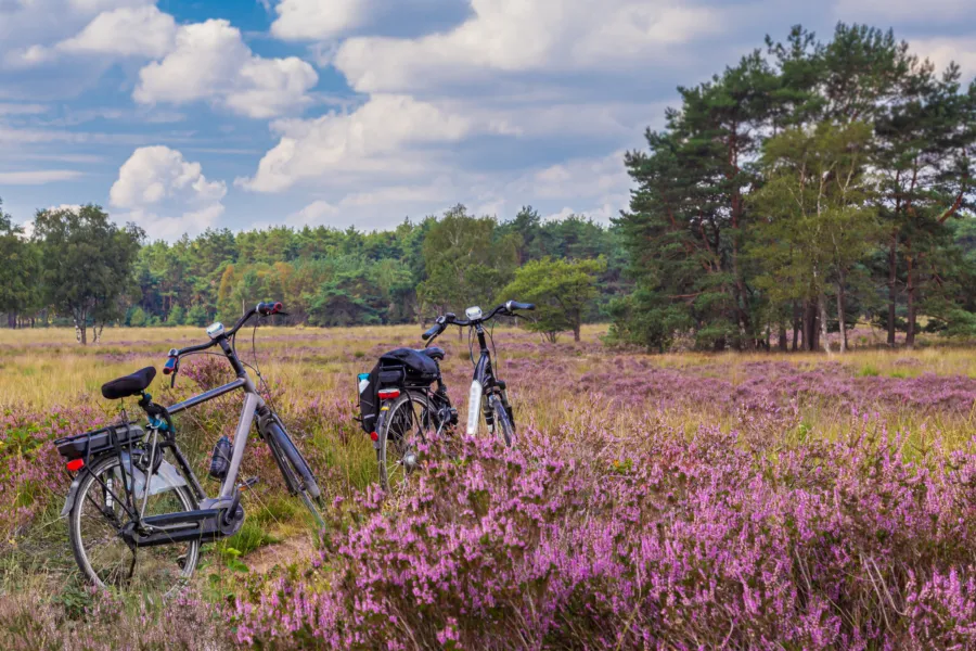 Fietsen Veluwe