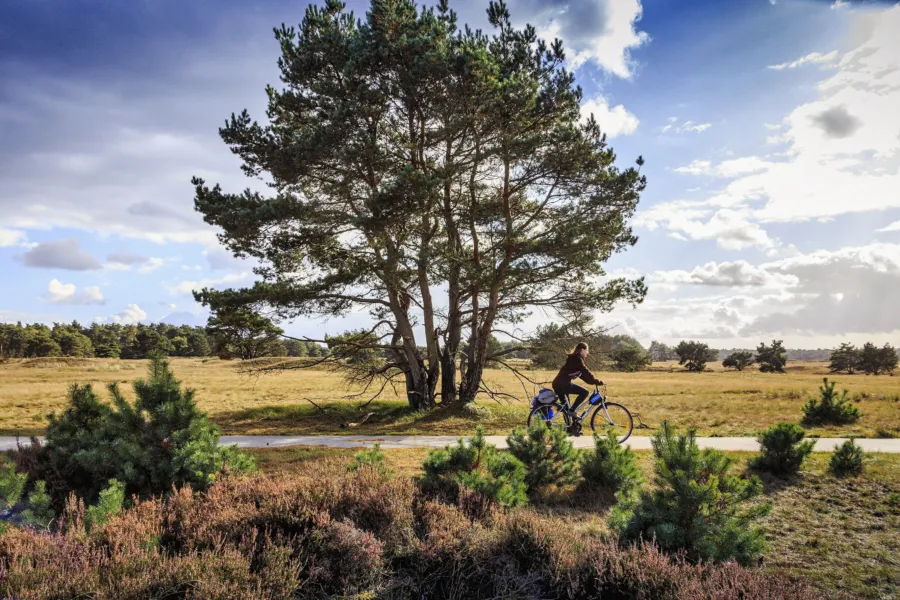 Fietsen Het Nationale Park De Hoge Veluwe Haeghehorst